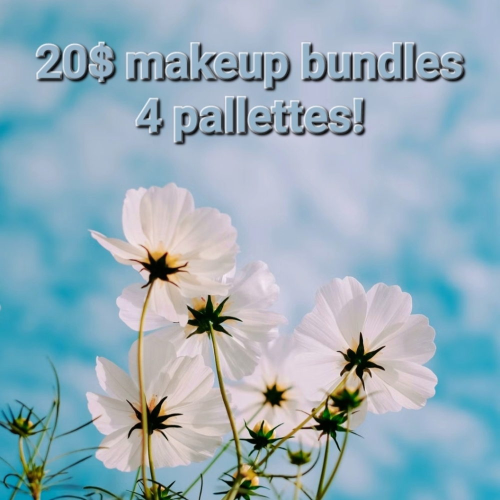 Makeup pallette bundle, mystery bundle